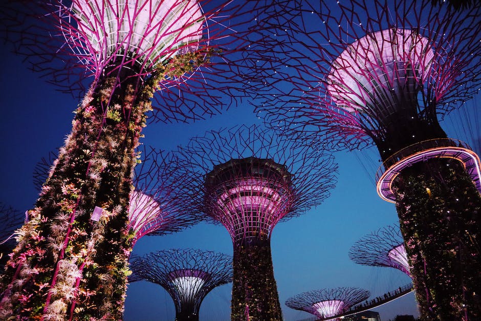 how to travel around in singapore