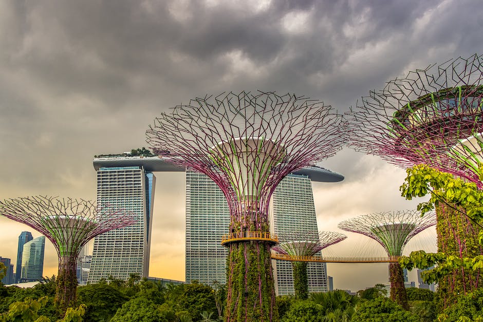 how to travel within singapore