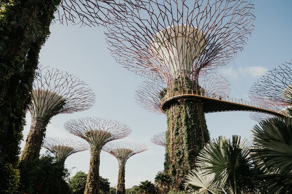 how to travel within singapore